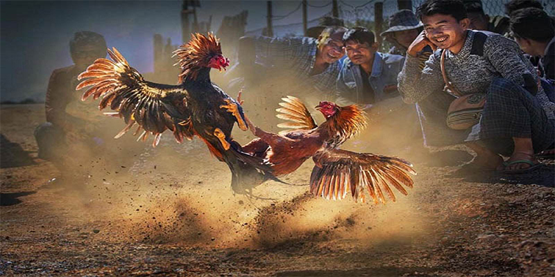 sunwin 19 chơi bắn cá đổi thưởng