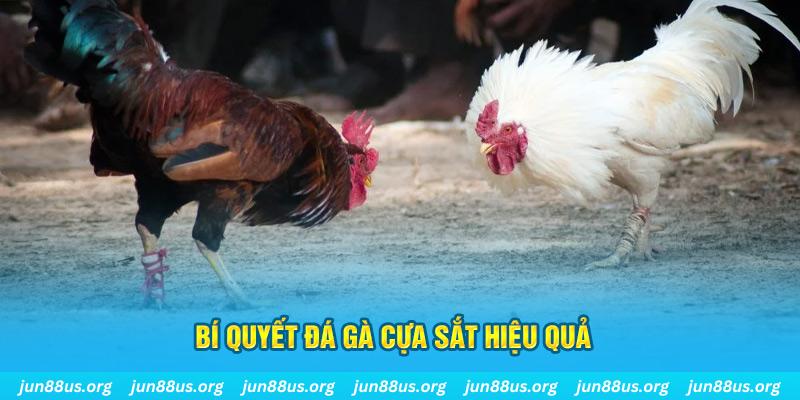 sunwin 19 xin 1 slot là gì