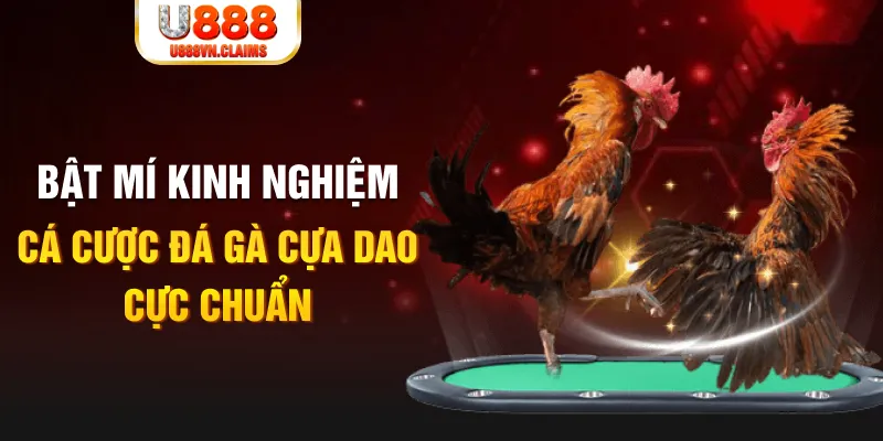 sunwin 19 tỷ lệ cá cược châu á là gì