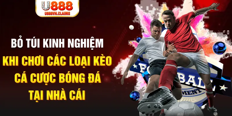 sunwin 19 Tài Xỉu