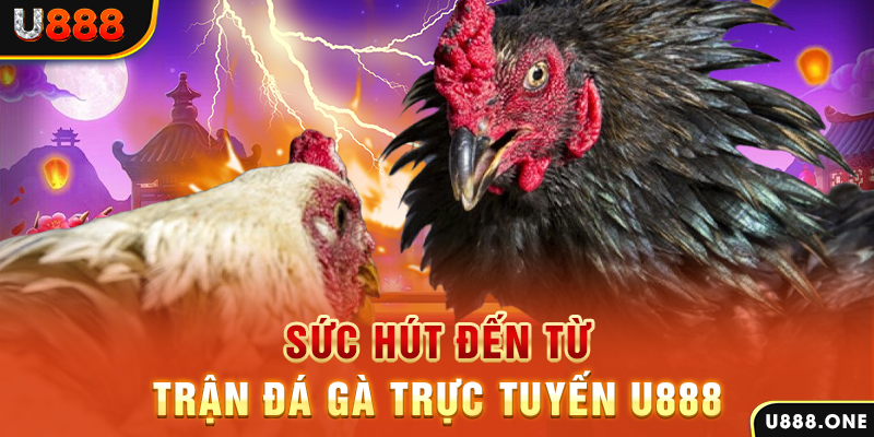 sunwin 19 nổ hũ b29 là gì