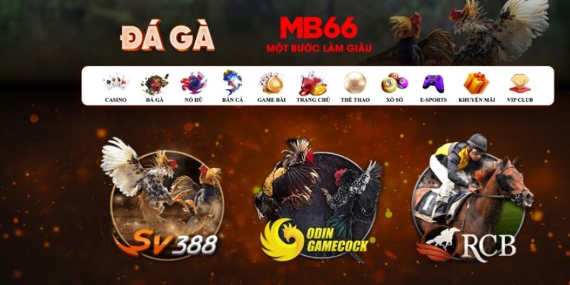 sunwin 19 đăng nhập poker số 1