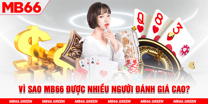 sunwin 19 đá gà