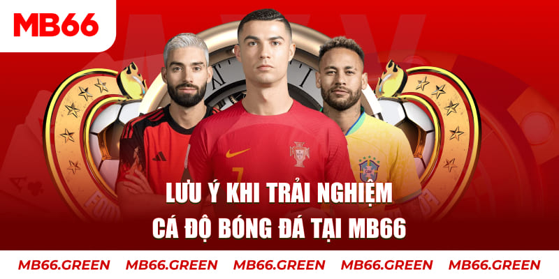 sunwin 19 cá cược là gì