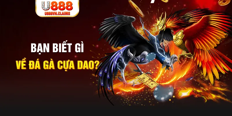 sunwin 19 nổ hủ là gì