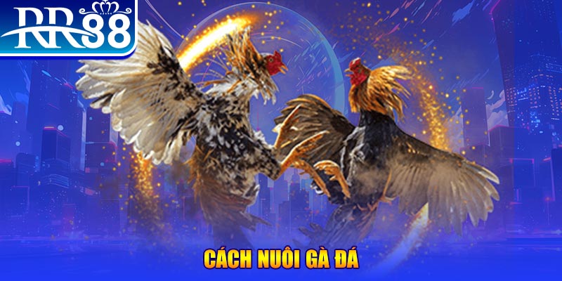 sunwin 19 xổ số an giang
