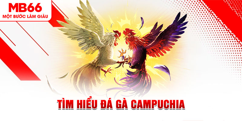 sunwin 19 game đánh bài trên máy tính