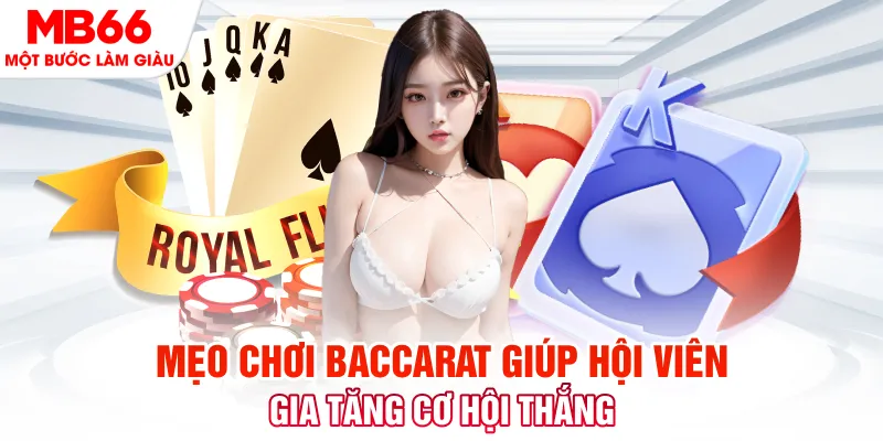 sunwin 19 Phi Đội Ưu Tú