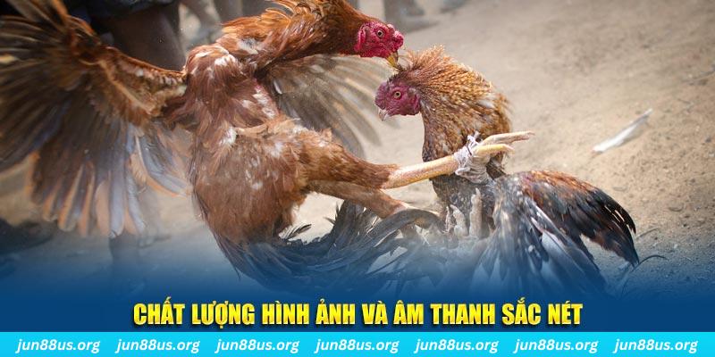 sunwin 19 đăng nhập roulette live