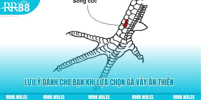 sunwin 19 xổ số đồng nai