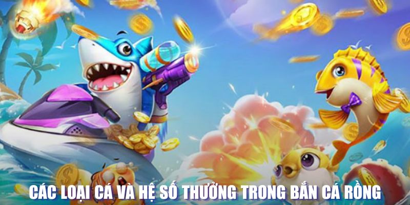 sunwin 19 đăng nhập sòng bạc mới nhất