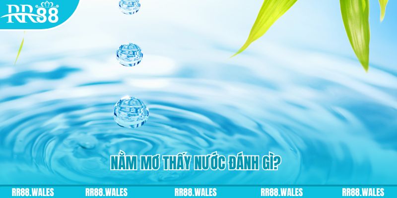 sunwin 19 TP Bắn cá