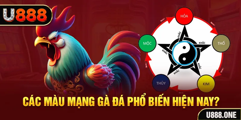 sunwin 19 trực tiếp đá gà 88