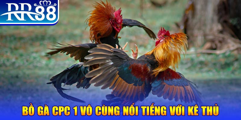 sunwin 19 game máy bay nổ hũ