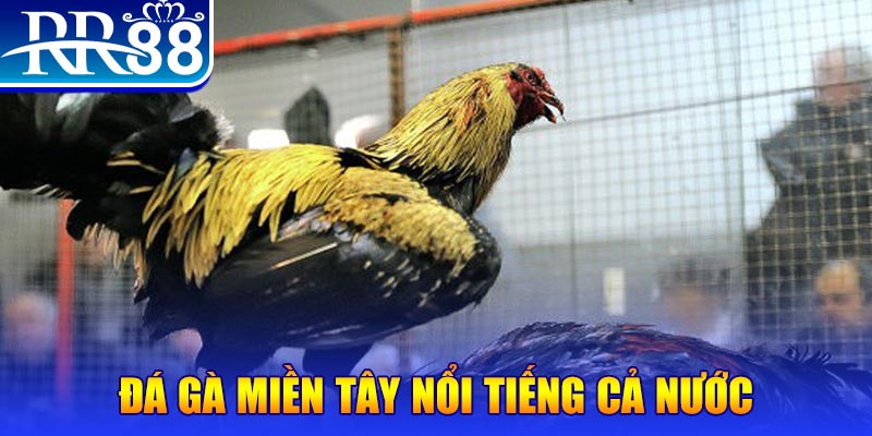 sunwin 19 JILI Game Bài 3d