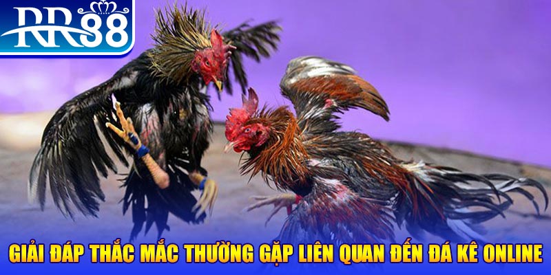 sunwin 19 slot machine là gì