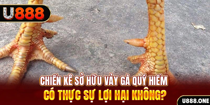 sunwin 19 nohu .mx nổ hủ là gì