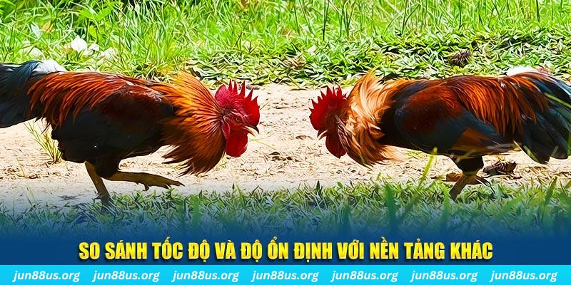sunwin 19 đá gà hôm nay
