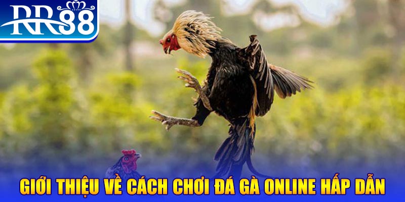 sunwin 19 game nổ hũ rút tiền mặt là gì