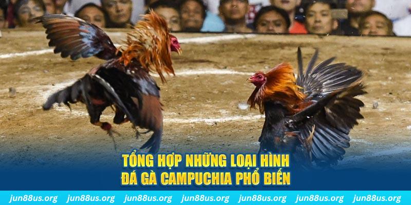 sunwin 19 đăng nhập nổ hũ 2024