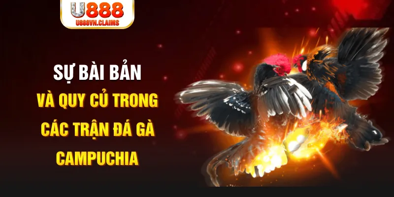sunwin 19 YGR Điện Tử
