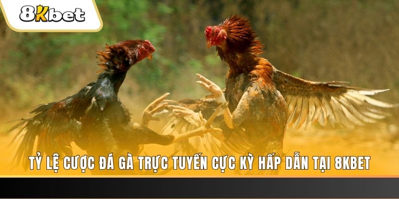 sunwin 19 xổ số trực tiếp miền bắc