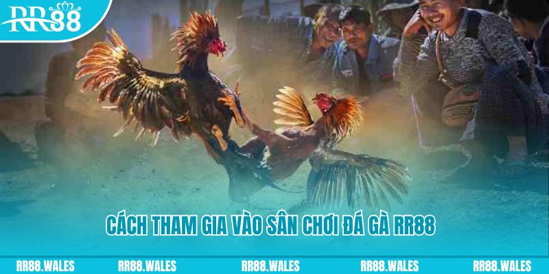 sunwin 19 chơi nổ hũ kiêng kỵ gì