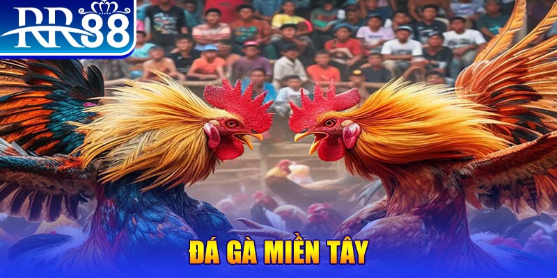 sunwin 19 chơi slot là gì