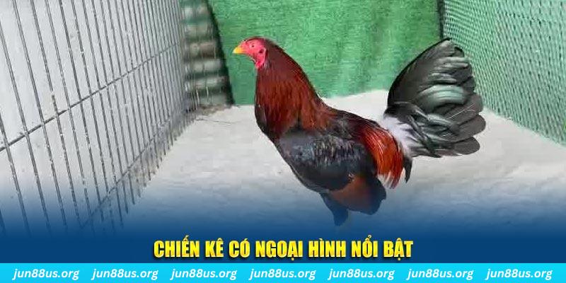 sunwin 19 chạy quảng cáo cho game bài bị phạt như thế nào