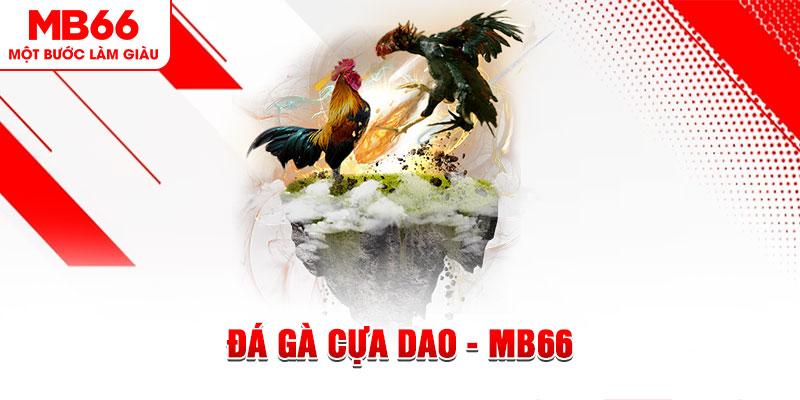 sunwin 19 đá gà sv388 gold